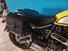 Ducati Scrambler 800 Icon (2021 - 22) (15)