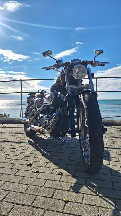 Harley-Davidson 1200 Custom (1995 - 00) - XL 1200C