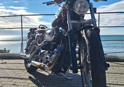 Harley-Davidson 1200 Custom (1995 - 00) - XL 1200C usata