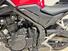 Honda CB 500 Hornet (2024 - 25) (6)
