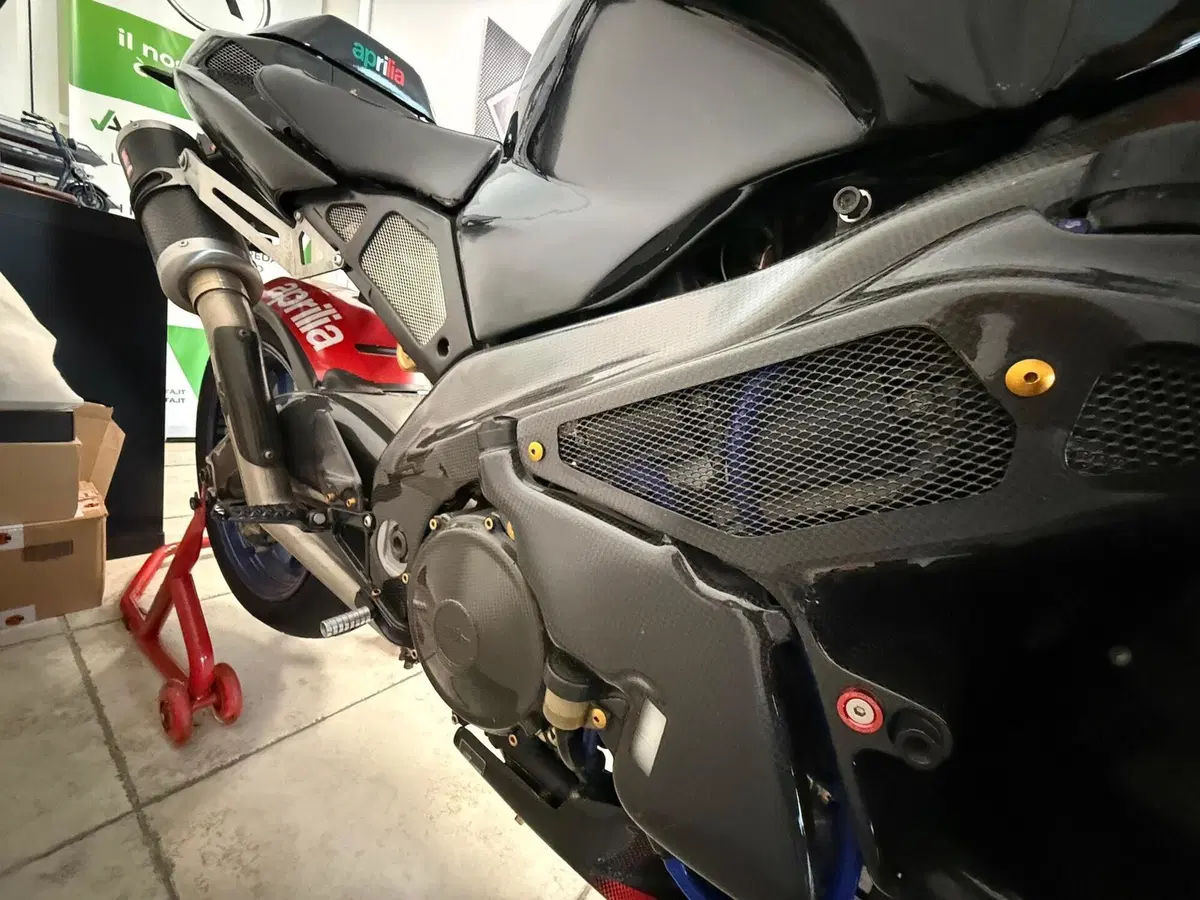 Aprilia Tuono 1000 (2003 - 04) (7)
