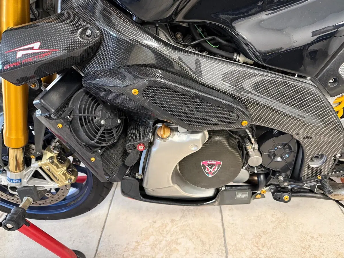 Aprilia RSV 1000 R (2001 - 02) (9)
