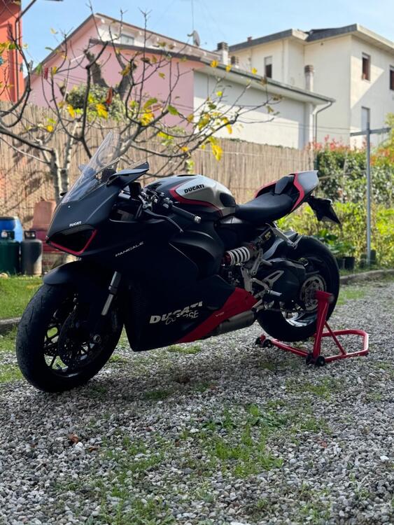 Ducati Panigale V2 (2021 - 24) (5)