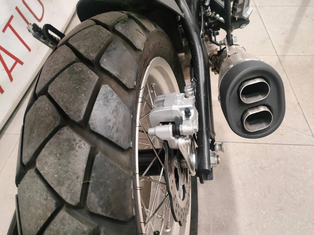 Benelli Leoncino 500 Trail (2021 - 25) (5)