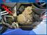 Ducati Multistrada V4 S (2021 - 24) (11)