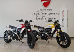 Ducati Scrambler 800 Icon (2023 - 25) nuova