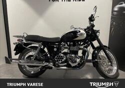 Triumph Bonneville T100 (2008 - 16) usata