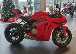 Ducati Panigale V4 (2022 - 24) usata