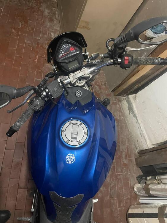 Cagiva Raptor 650 (2005 - 07) (4)