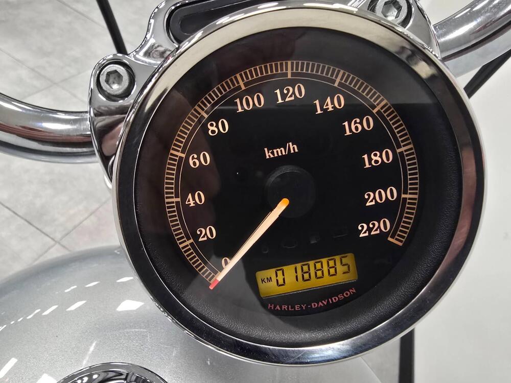 Harley-Davidson 1200 Custom (2007 - 13) - XL 1200C (5)