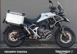 Triumph Tiger 1200 GT Pro (2022 - 23) usata