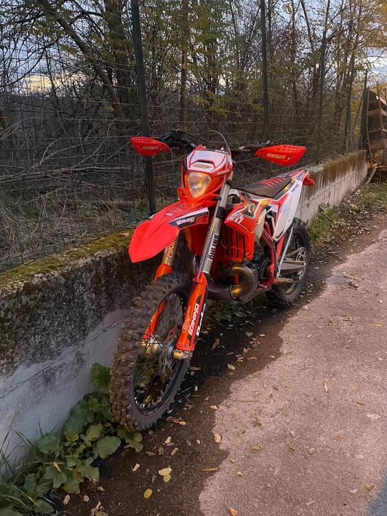 Betamotor RR 300 2T Enduro (2023) (2)