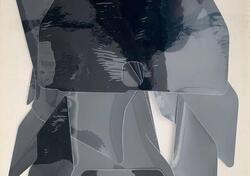 Fondi Per Numero Di Telaio Husqvarna Fs 450 (2019-