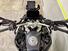 Bmw F 900 GS (2024 - 25) (16)