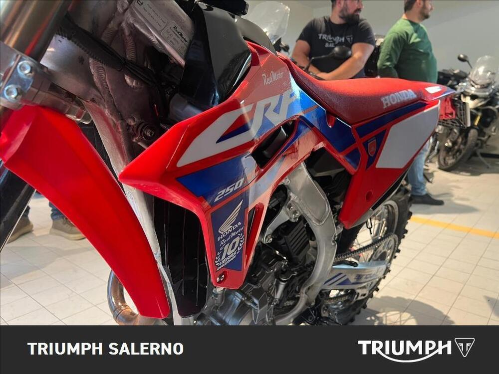 Honda CRF 250 RX Enduro (2024) (4)