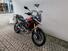 Triumph Tiger 900 Rally Pro (2020 - 23) (9)