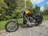 Harley-Davidson Chopper panshovel (7)