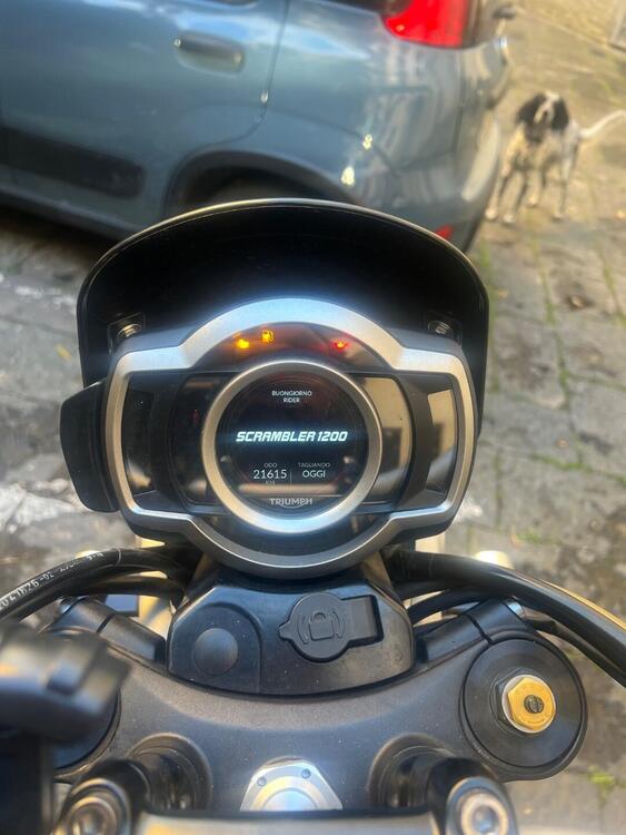 Triumph Scrambler 1200 XE (2019 - 20) (3)