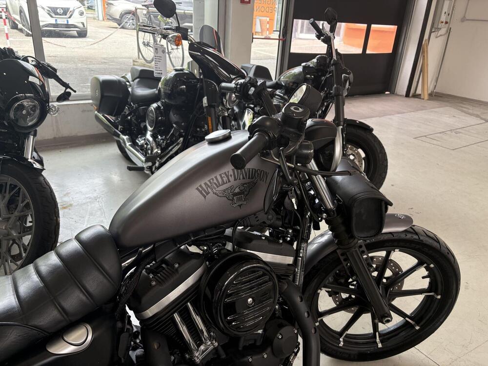 Harley-Davidson 883 Iron (2014 - 16) - XL 883N (2)