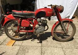 Benelli Leoncino d'epoca