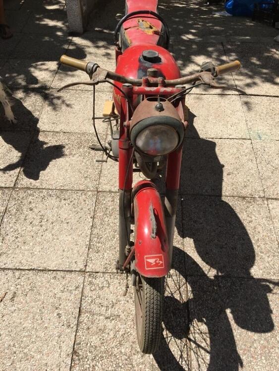 Benelli Leoncino (3)