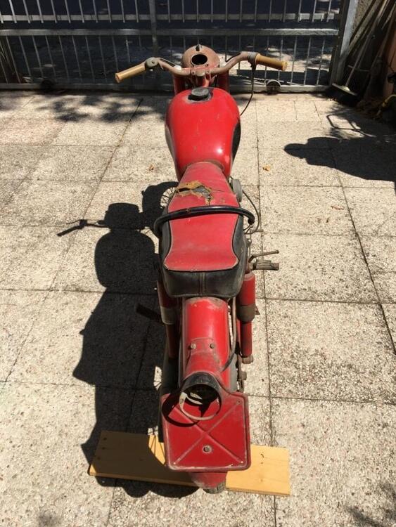 Benelli Leoncino (4)