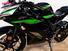 Kawasaki Ninja 125 (2019 - 20) (9)