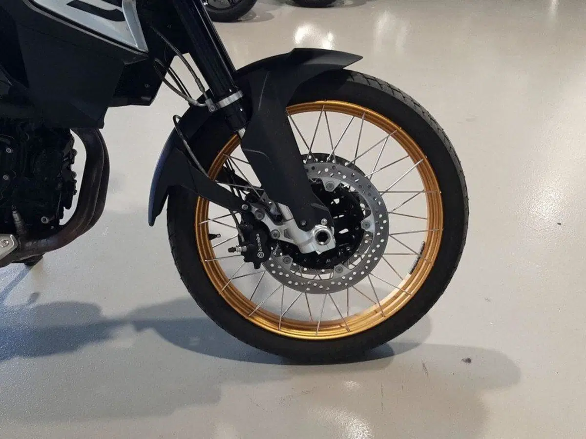 Bmw F 850 GS - Edition 40 Years GS (2021) (8)