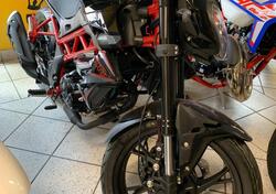 Benelli BN 125 (2026) nuova