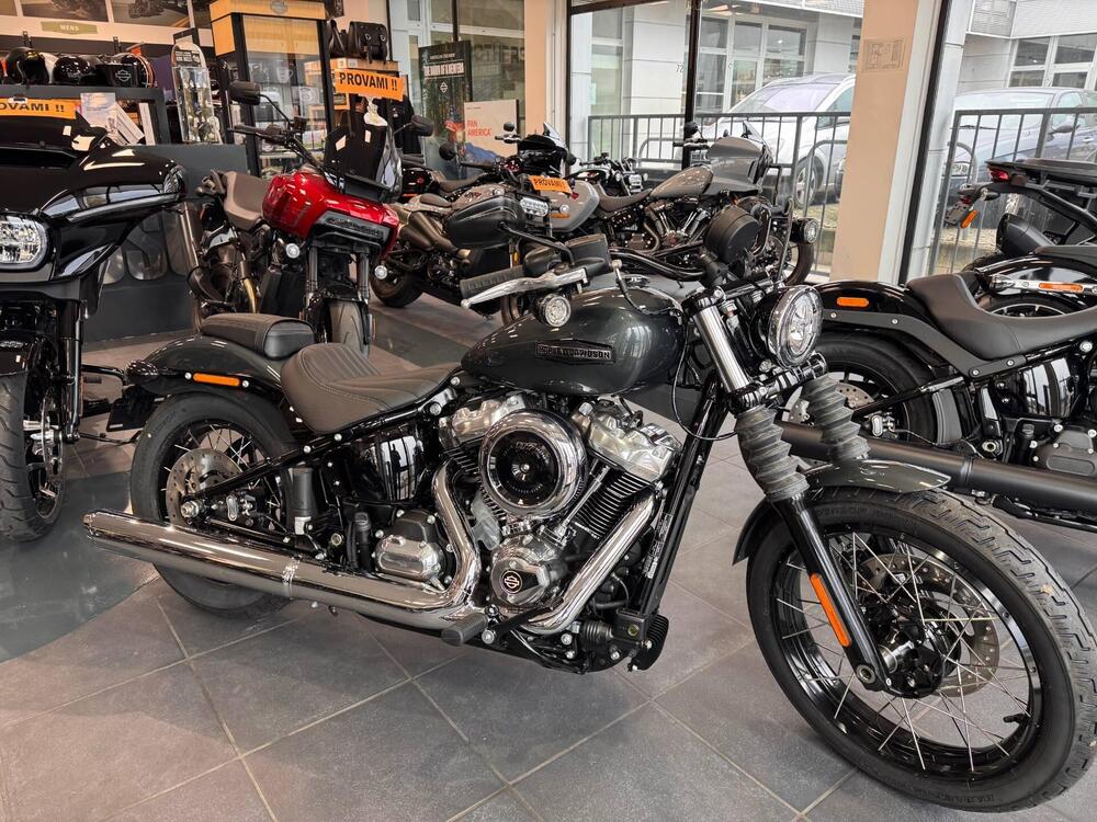 Harley-Davidson Street Bob 117 (2025) (2)