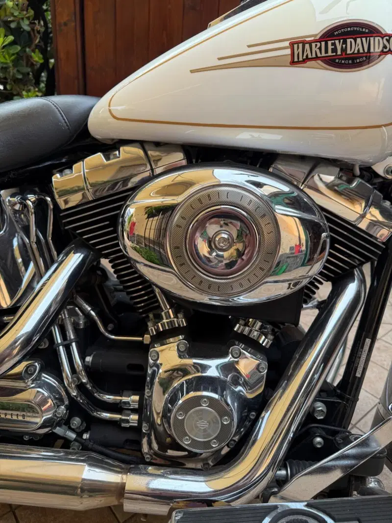 Harley-Davidson 1584 Heritage Classic (2006 - 07) - FLSTC (3)