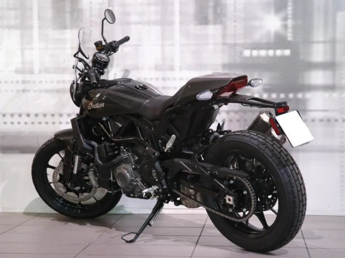 Indian FTR 1200 (2019 - 20) (2)