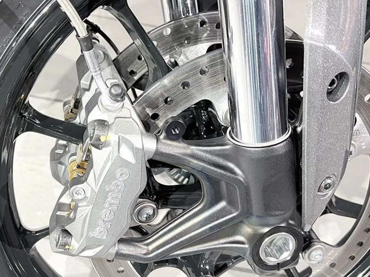 Indian FTR 1200 (2019 - 20) (3)