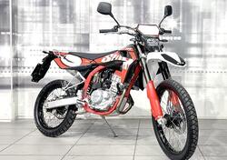 Swm RS 125 R (2017 - 20) usata