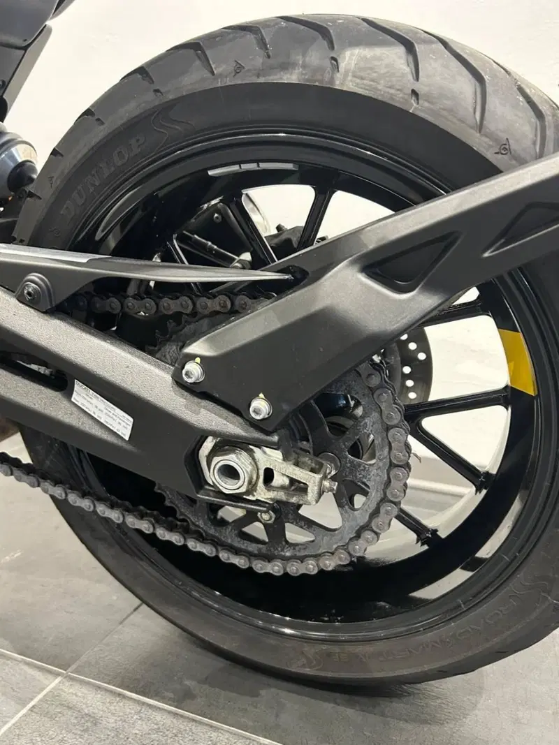 Ducati Scrambler 800 Icon (2023 - 24) (10)