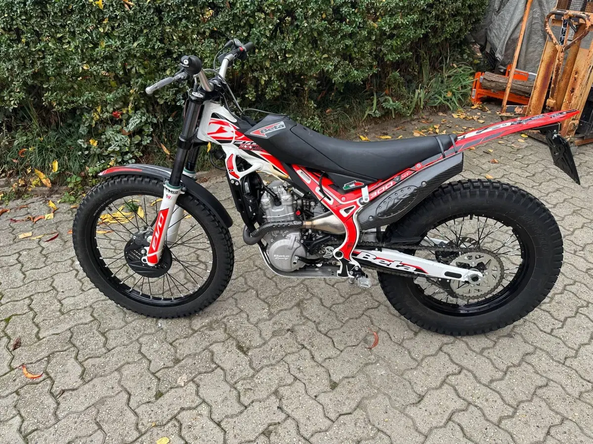 Betamotor Evo 300 4t (2021)