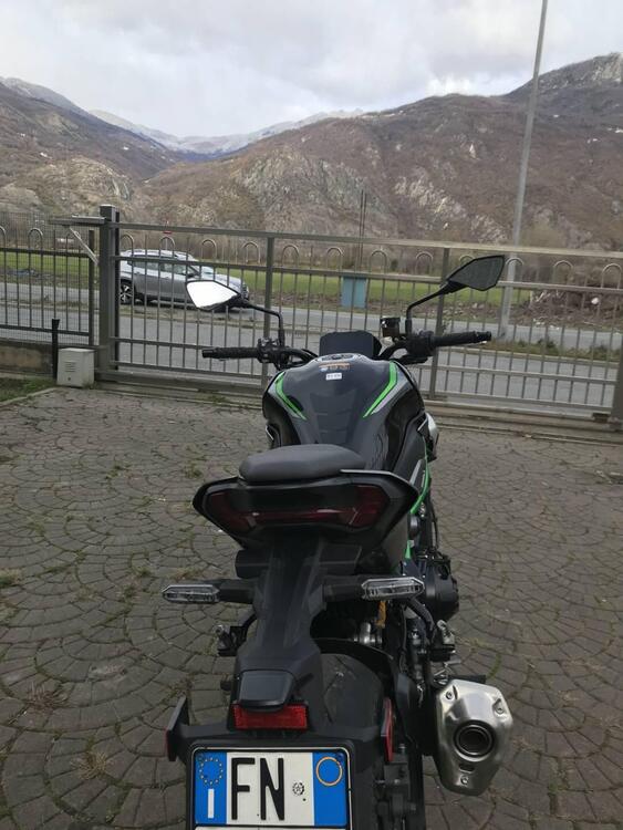 Kawasaki Z 900 SE Performance (2025 - 26) (5)