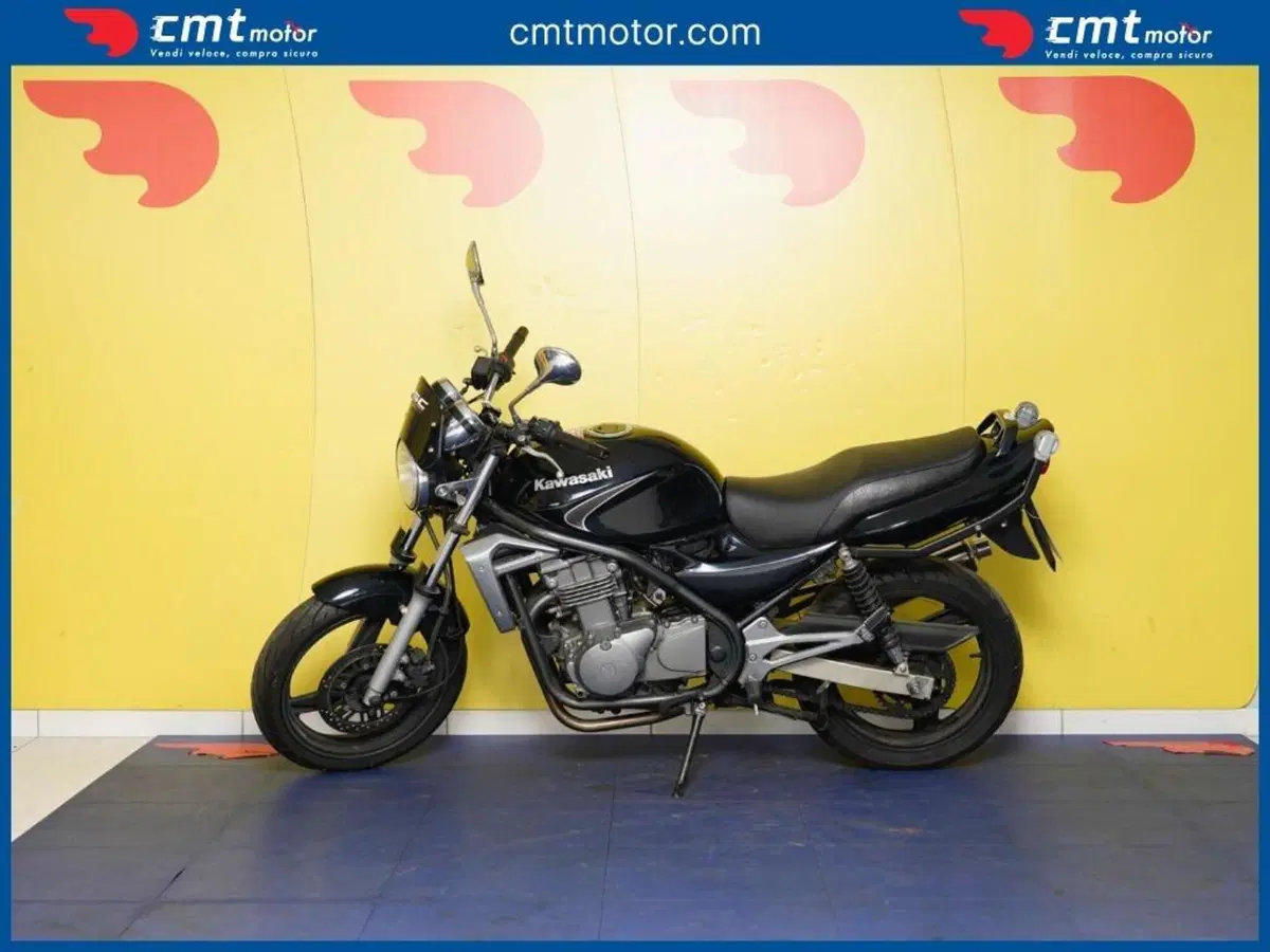 Kawasaki ER-5 500 (2001 - 06) (2)