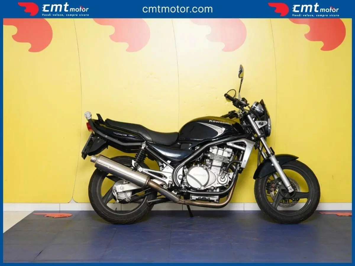 Kawasaki ER-5 500 (2001 - 06) (4)