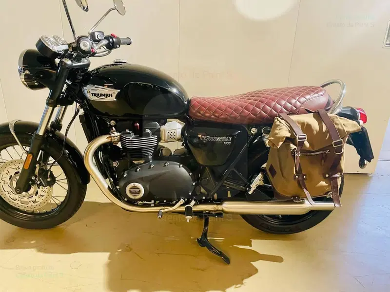Triumph Bonneville T100 Chrome Edition (2023) (3)