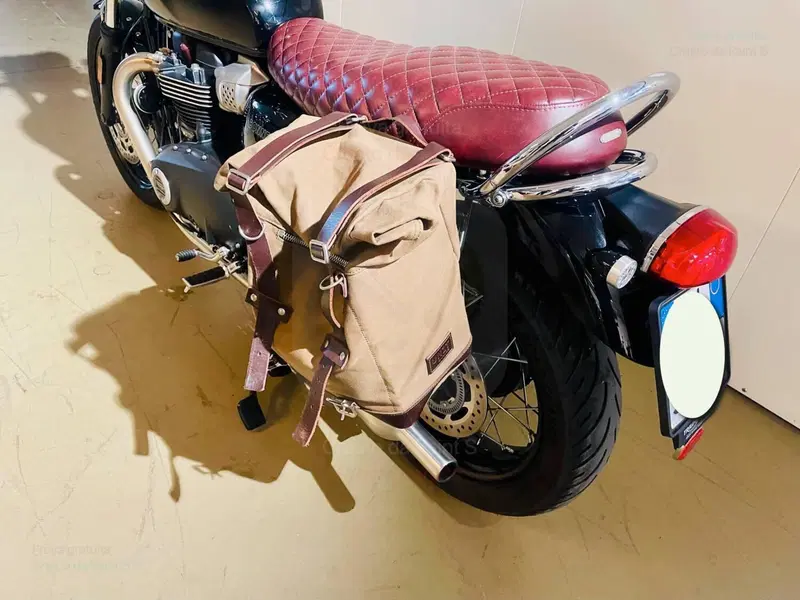 Triumph Bonneville T100 Chrome Edition (2023) (8)