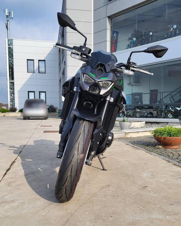 Kawasaki Z 900 (2025 - 26) (5)