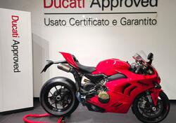 Ducati Panigale V4 (2022 - 24) usata