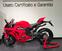 Ducati Panigale V4 (2022 - 24) (10)