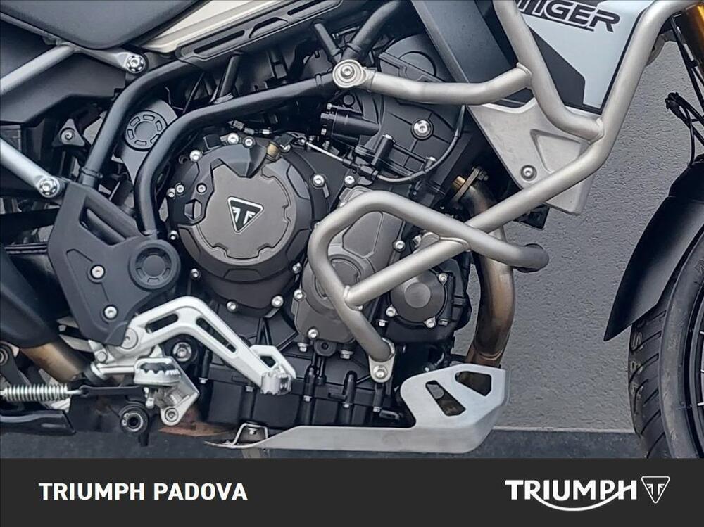 Triumph Tiger 900 Rally Pro (2020 - 23) (3)