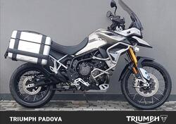 Triumph Tiger 900 Rally Pro (2020 - 23) usata