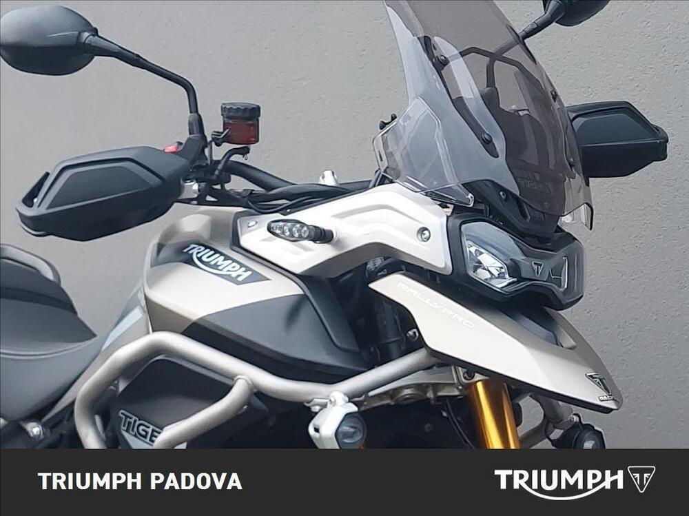 Triumph Tiger 900 Rally Pro (2020 - 23) (5)