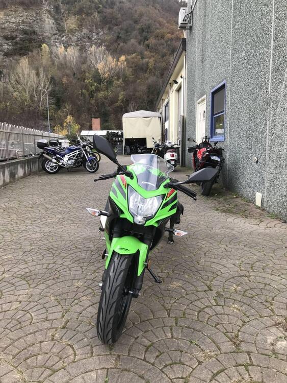 Kawasaki Ninja 125 (2025 - 26) (3)