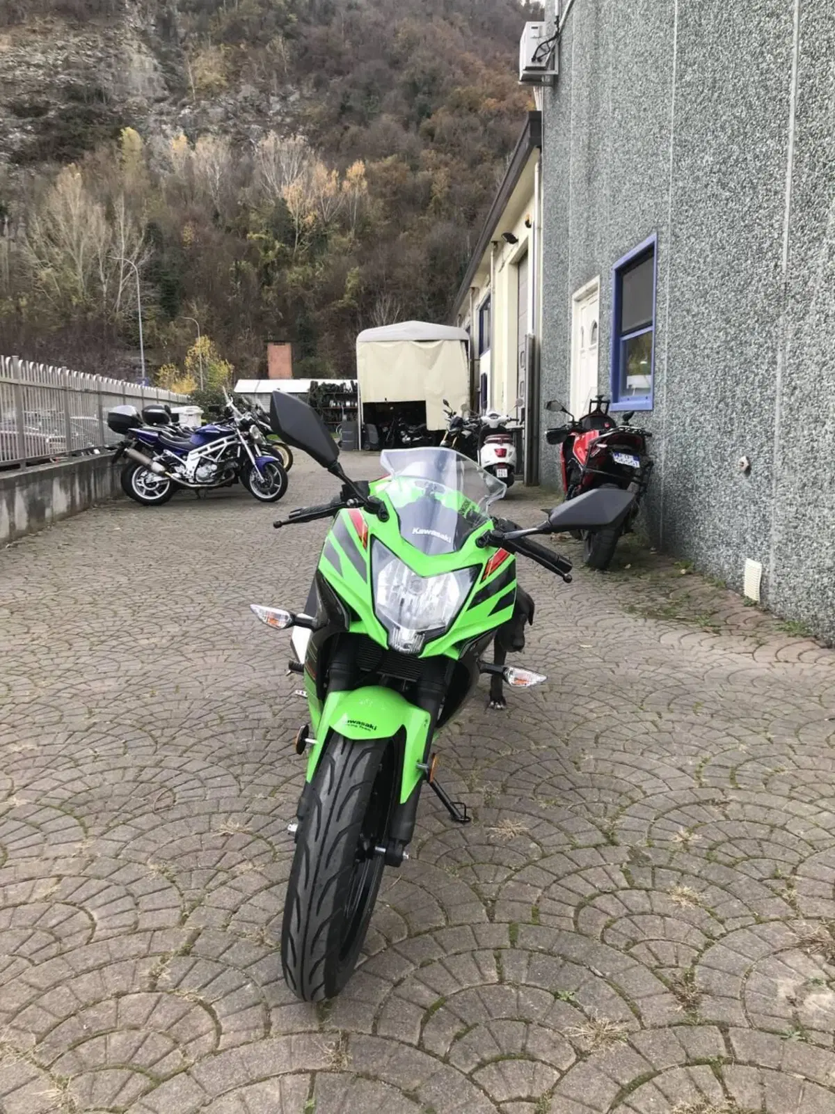Kawasaki Ninja 125 (2025 - 26) (3)