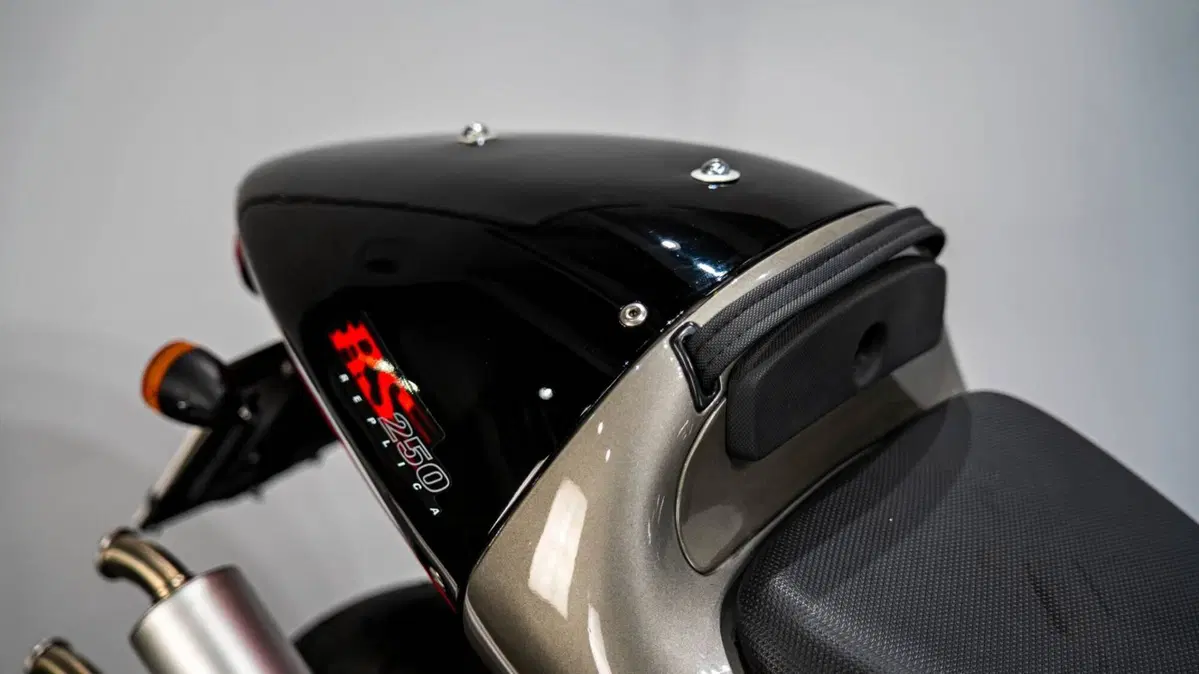 Aprilia RS 250  (10)